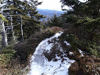 P1040150.jpg