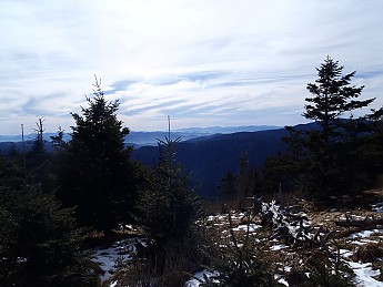 P1040145.jpg