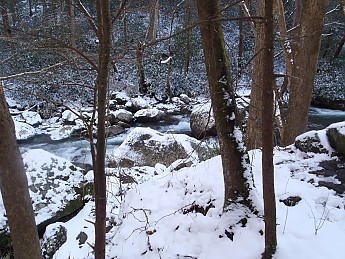 Winter-Hike2012-019.jpg