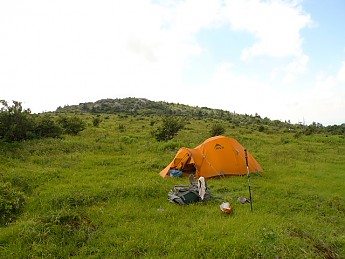 TRIP-123-540.jpg