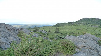 TRIP-123-548.jpg