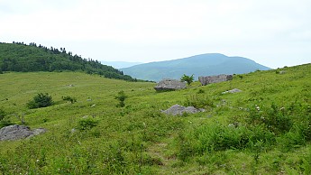 TRIP-123-555.jpg