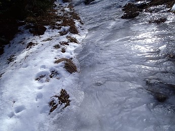 P1040113.jpg