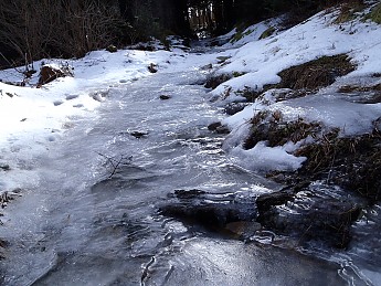 P1040115.jpg