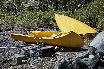 DSC_8005.jpg
