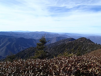 P1040126.jpg