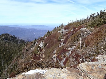 P1040133.jpg