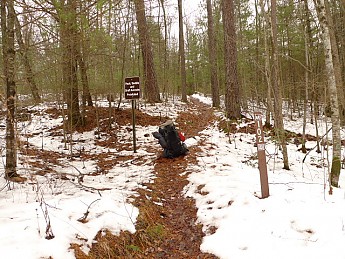 TRIP-118-406.jpg