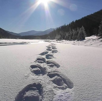 Here are a few things for you to keep in mind when preparing for Snowshoeing