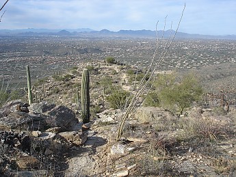 Dayhike-Blacketts-Ridge-Saturday-Jan-14t