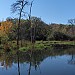 Beaver Pond