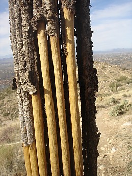 Dayhike-Blacketts-Ridge-Saturday-Jan-14t