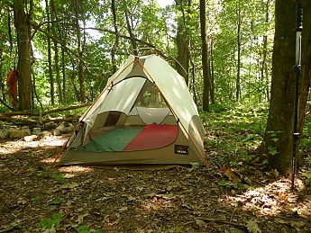 TRIP-123-595.jpg
