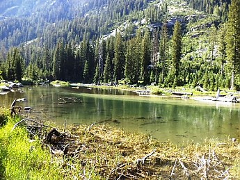 Cascade-Creek-Cascade-Canyon-GTNP-WY.jpg