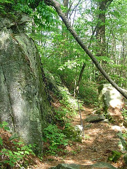 Joyce-Kilmer-Trip-2012-065.jpg