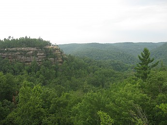 IMG_1089.jpg