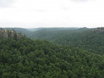 IMG_1068.jpg