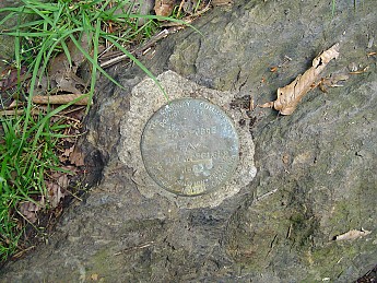 Joyce-Kilmer-Trip-2012-161.jpg