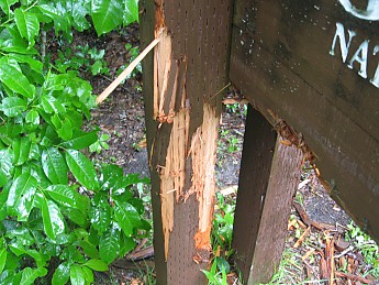 IMG_1046.jpg