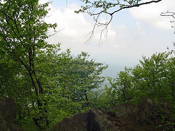 Joyce-Kilmer-Trip-2012-170.jpg
