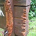 IMG_1045