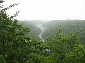 IMG_1043.jpg