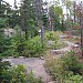 Rock Harbor Trail to Daisy Farm
