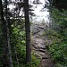 Rock Harbor Trail to Daisy Farm II