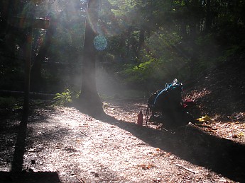 DSCN0790.jpg