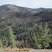 Cedar Basin and S. Yolla Bolly Mtns. from Harvey Peak