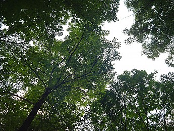Joyce-Kilmer-Trip-2012-208.jpg