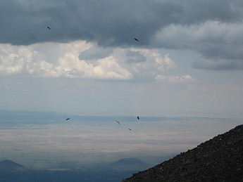 Ravens-soaring-on-updrafts-west-of-Mt-Hu