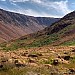 the Tablelands, Gros Morne #2