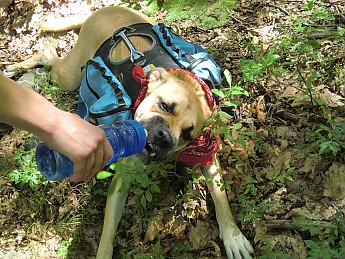 july-2011-086.jpg
