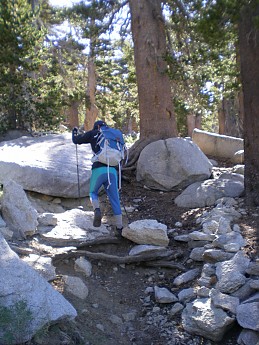 DSCN2591.jpg