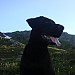 DSC02132