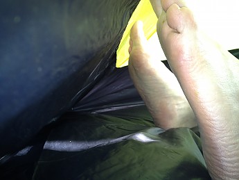 IMG_1684.jpg