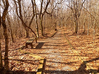 TRIP-129-206.jpg