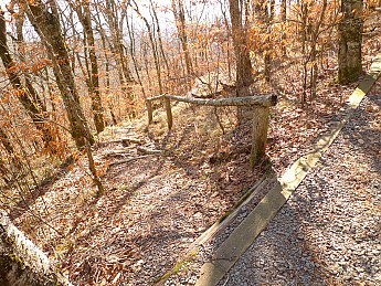 TRIP-129-208.jpg