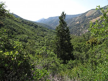 IMG_1458.jpg