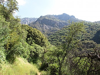 IMG_1451.jpg