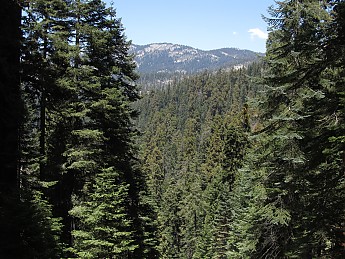 IMG_1424.jpg