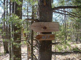 DSCN0986.jpg