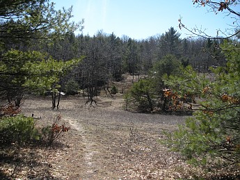 DSCN0987.jpg