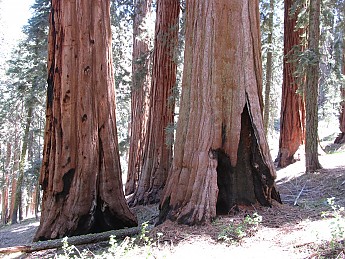 IMG_1372.jpg