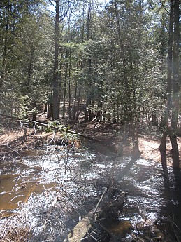 DSCN0994.jpg