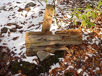 TRIP-129-236.jpg