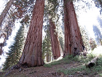 IMG_1391.jpg