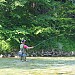 Fly-Fishing