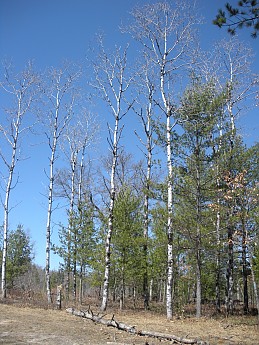 DSCN0999.jpg